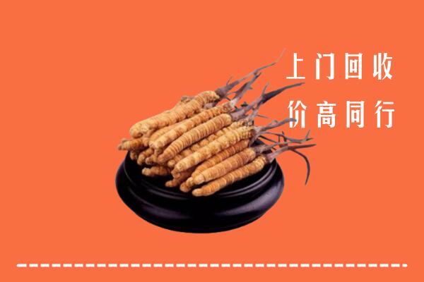 高价求购：当雄县回收散虫草