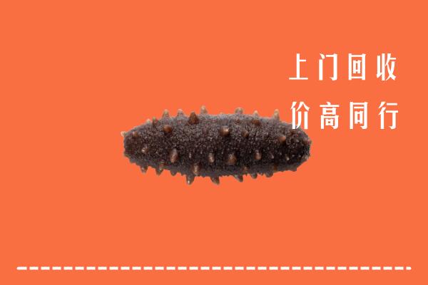 当雄县回收海参