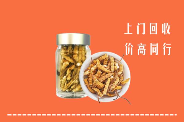 当雄县回收冬虫夏草